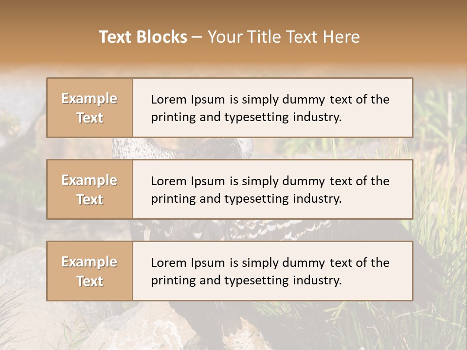 Aloft Long Soaring PowerPoint Template