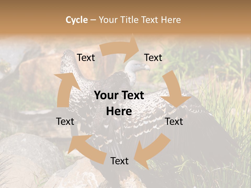 Aloft Long Soaring PowerPoint Template