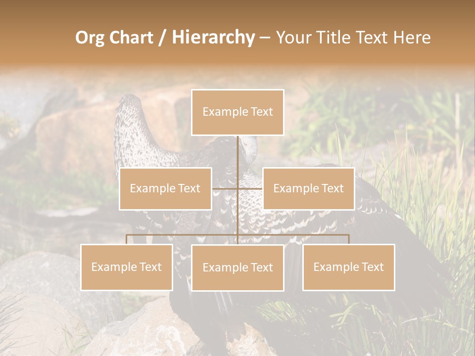 Aloft Long Soaring PowerPoint Template