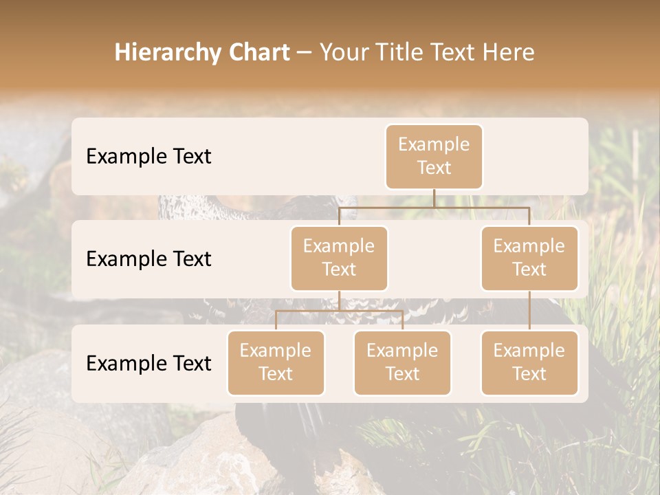 Aloft Long Soaring PowerPoint Template