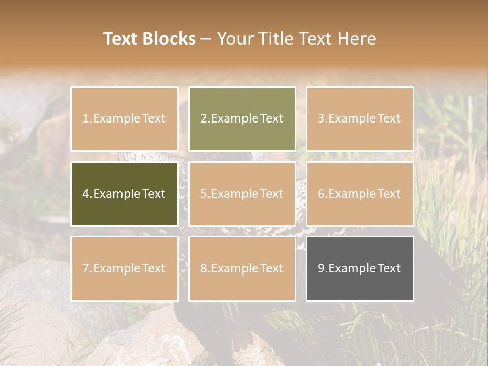 Aloft Long Soaring PowerPoint Template