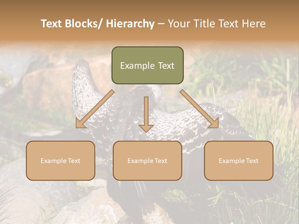 Aloft Long Soaring PowerPoint Template