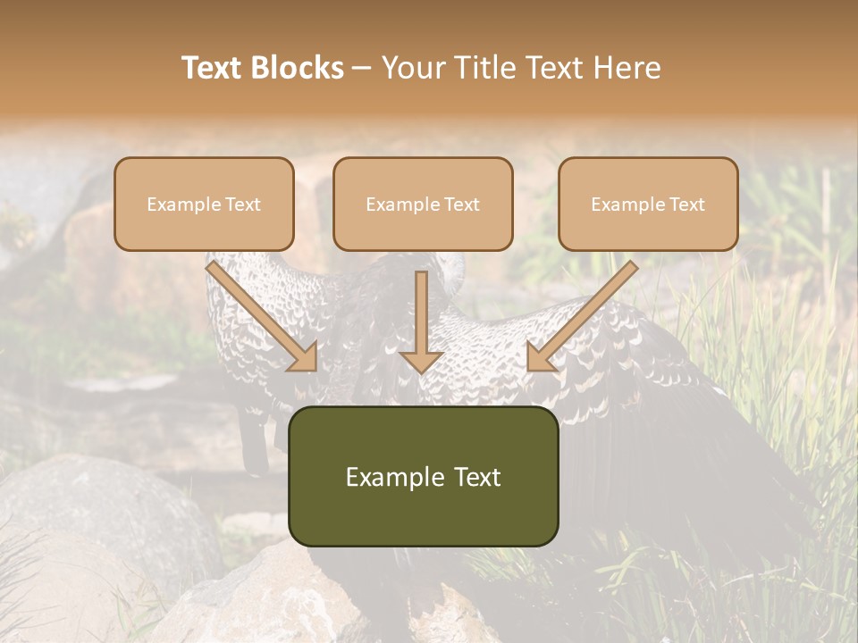 Aloft Long Soaring PowerPoint Template