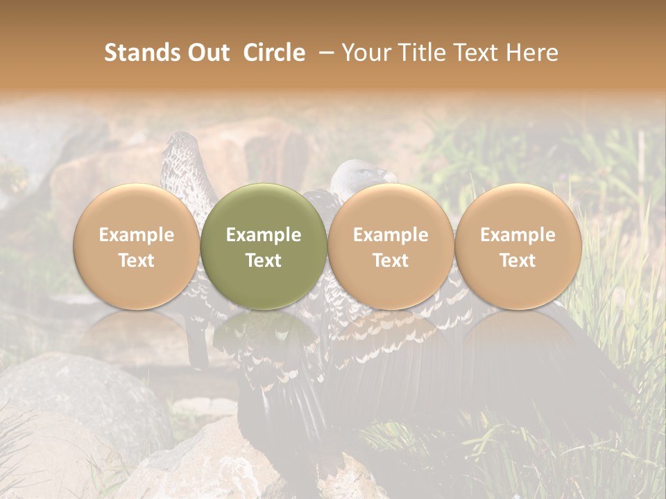 Aloft Long Soaring PowerPoint Template