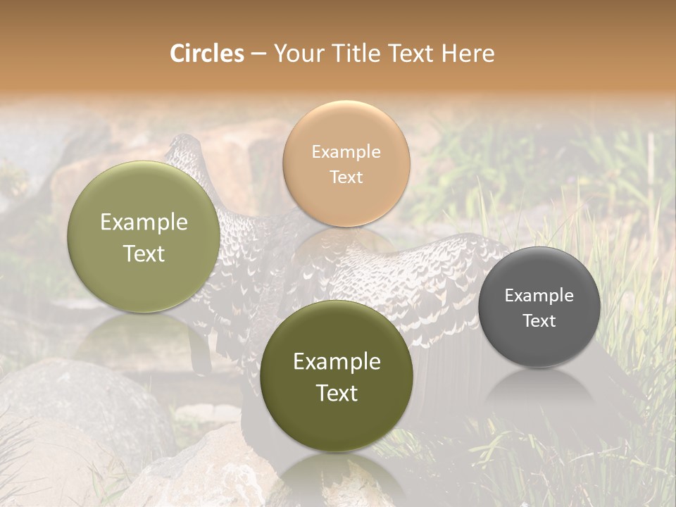 Aloft Long Soaring PowerPoint Template