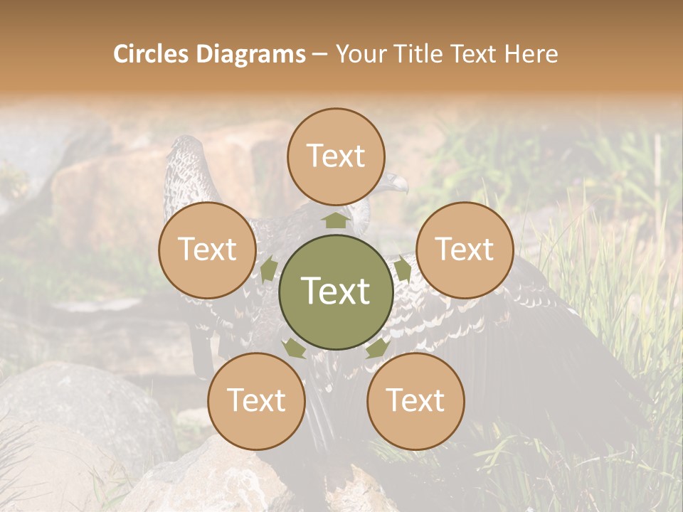 Aloft Long Soaring PowerPoint Template