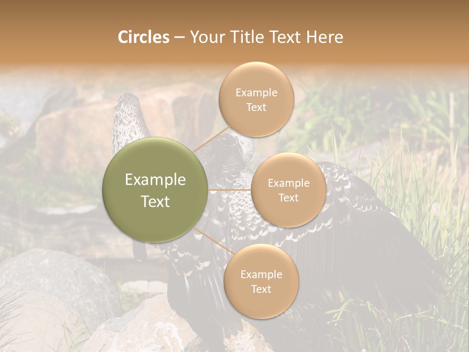 Aloft Long Soaring PowerPoint Template