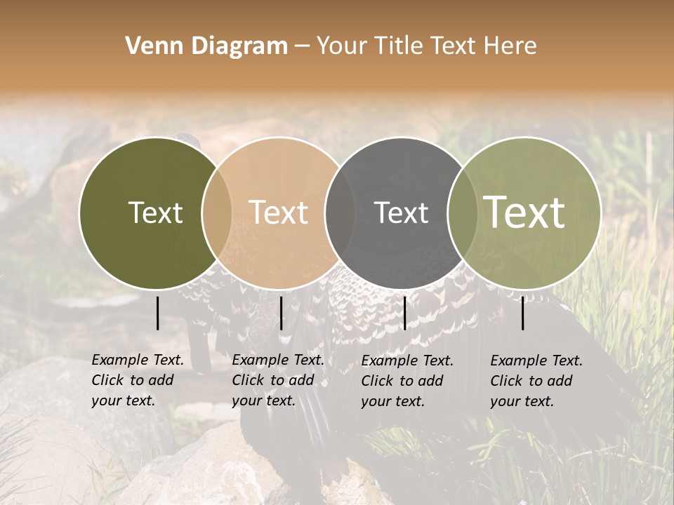 Aloft Long Soaring PowerPoint Template