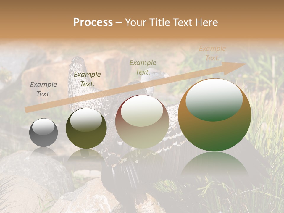 Aloft Long Soaring PowerPoint Template