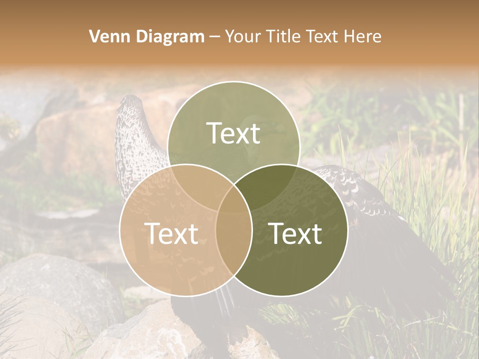 Aloft Long Soaring PowerPoint Template