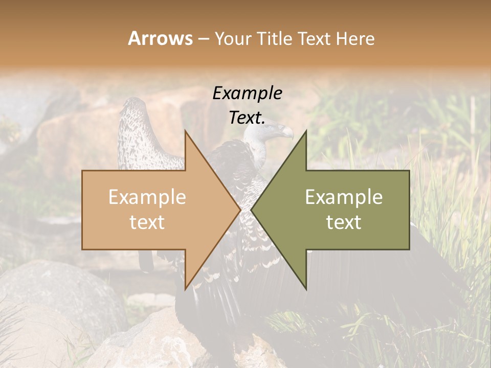 Aloft Long Soaring PowerPoint Template