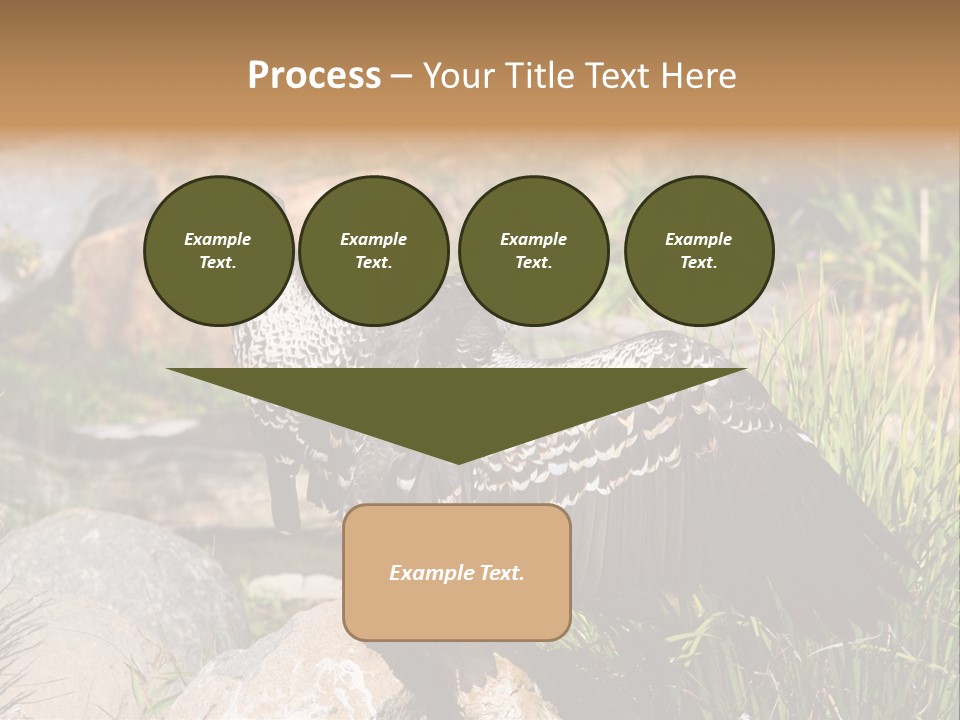Aloft Long Soaring PowerPoint Template