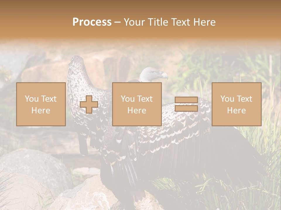 Aloft Long Soaring PowerPoint Template