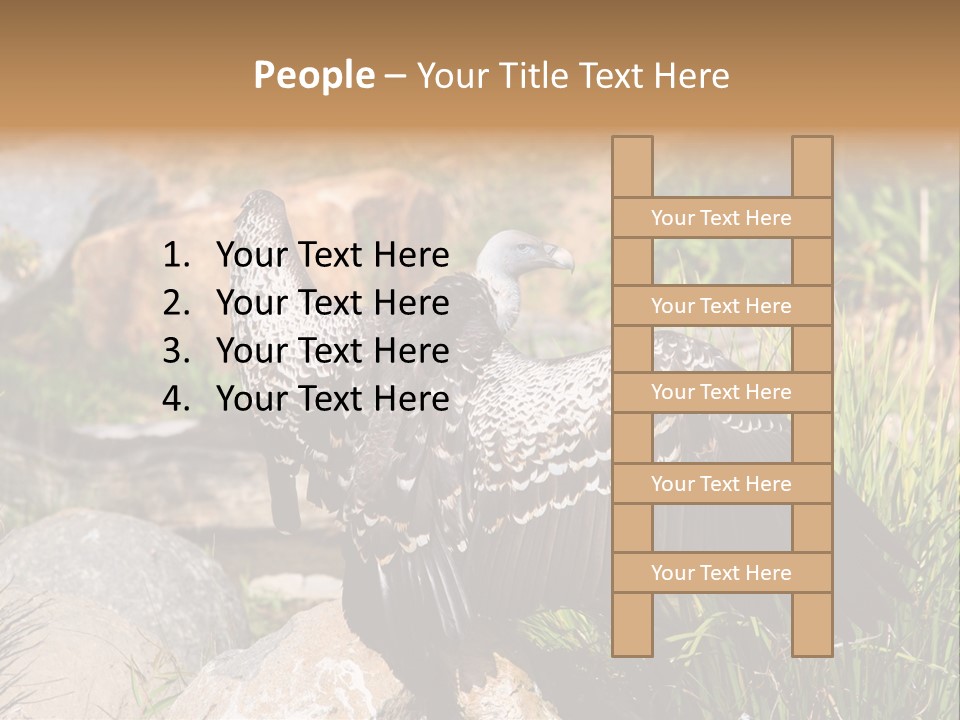 Aloft Long Soaring PowerPoint Template