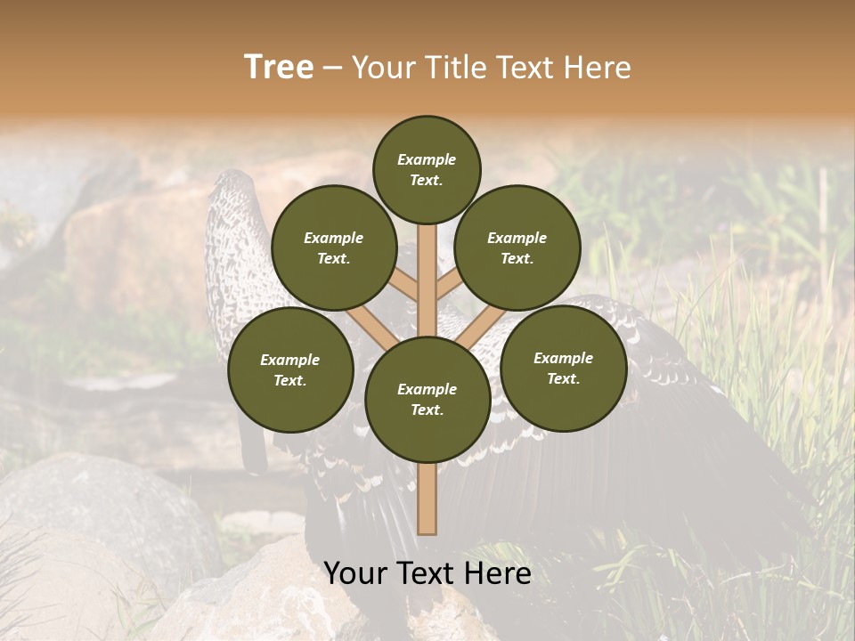 Aloft Long Soaring PowerPoint Template