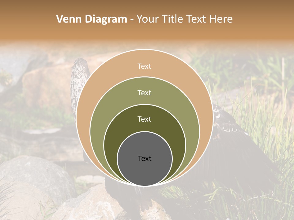 Aloft Long Soaring PowerPoint Template