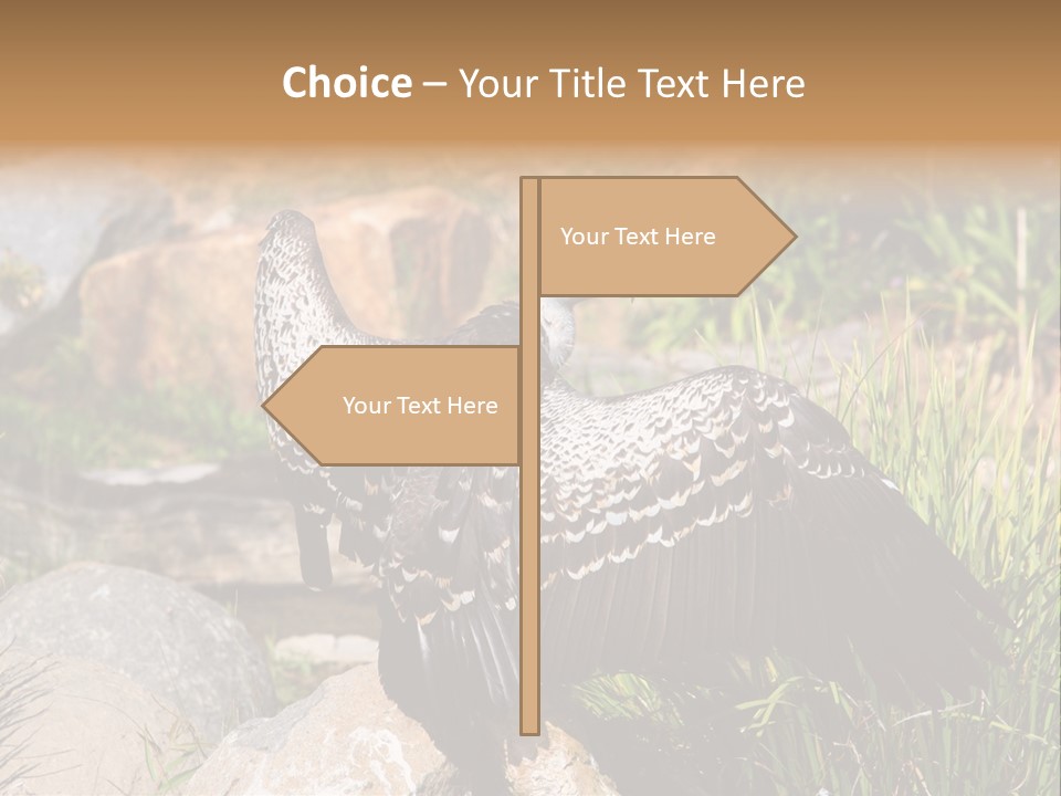 Aloft Long Soaring PowerPoint Template
