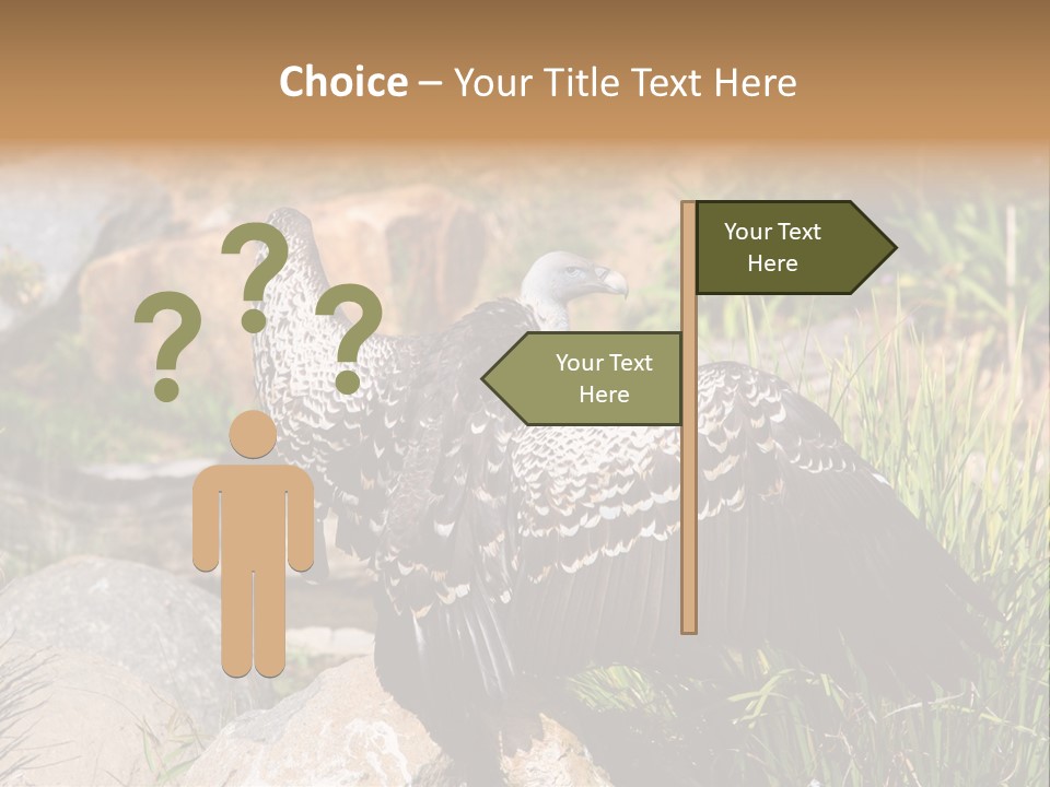 Aloft Long Soaring PowerPoint Template