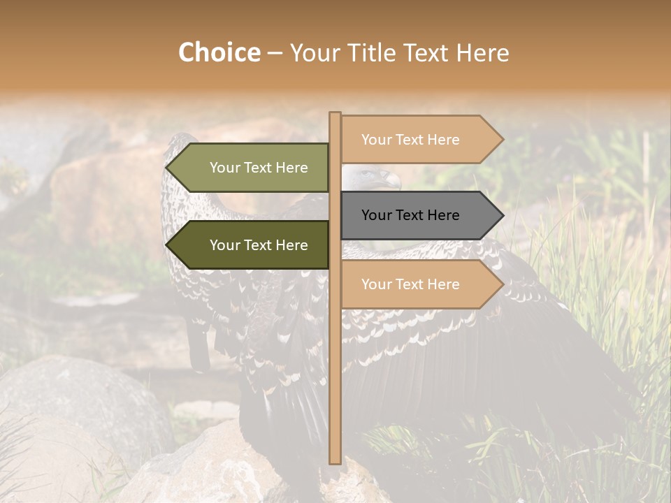 Aloft Long Soaring PowerPoint Template