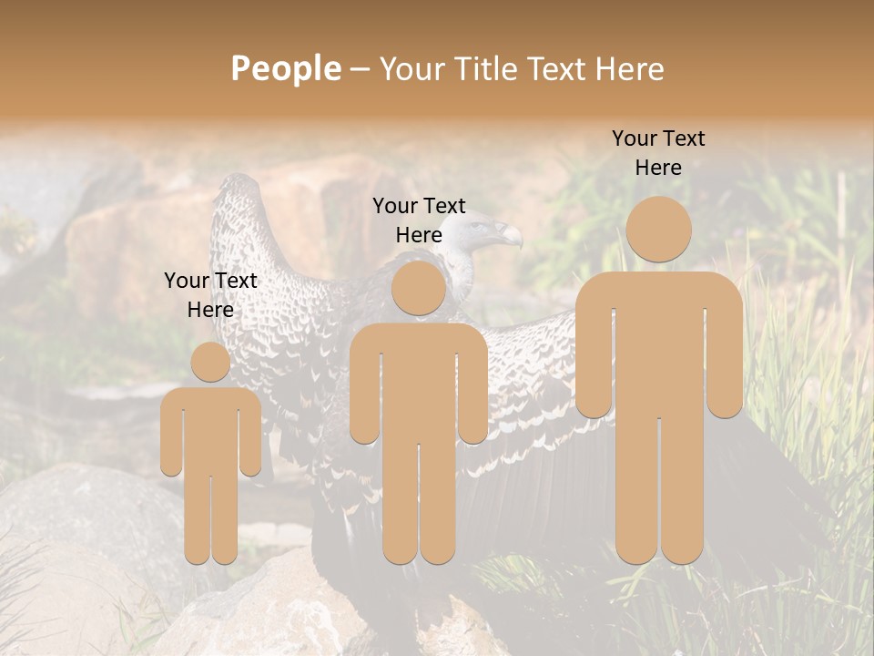 Aloft Long Soaring PowerPoint Template