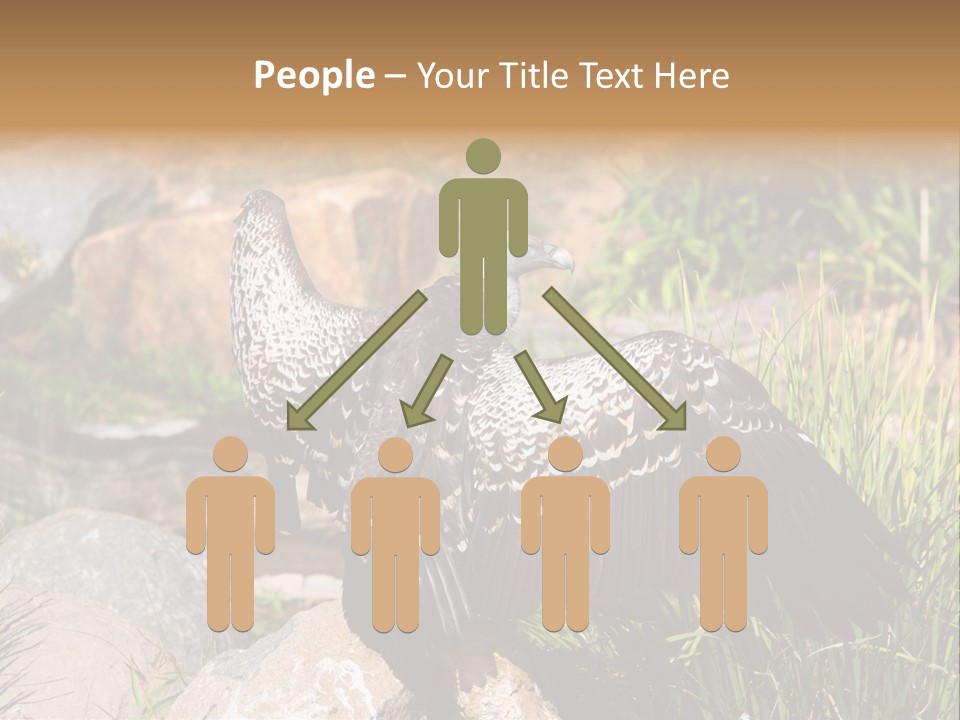 Aloft Long Soaring PowerPoint Template