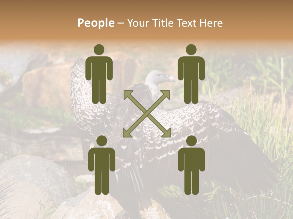 Aloft Long Soaring PowerPoint Template