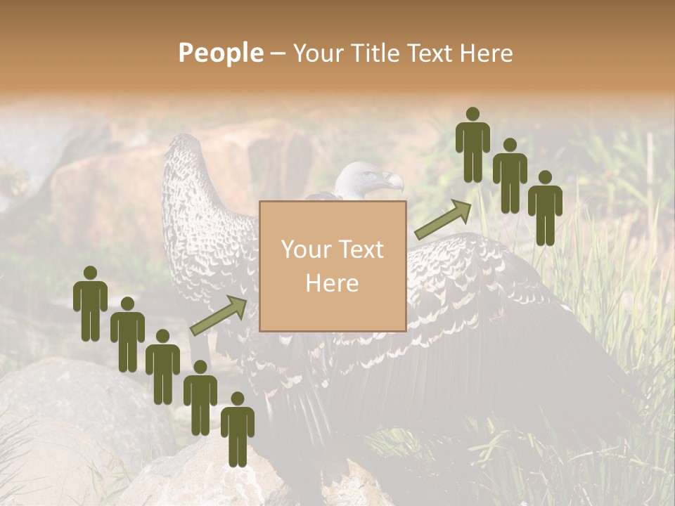 Aloft Long Soaring PowerPoint Template