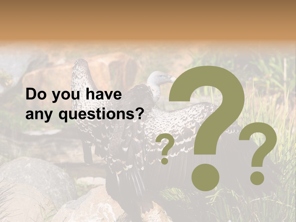 Aloft Long Soaring PowerPoint Template