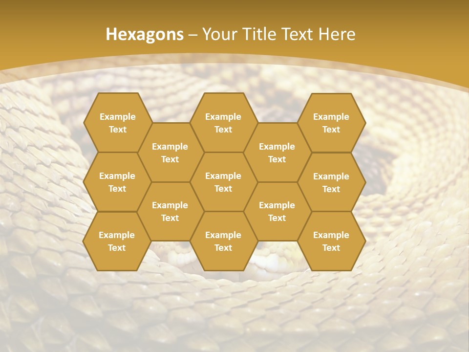 Garden Jungle Animal PowerPoint Template