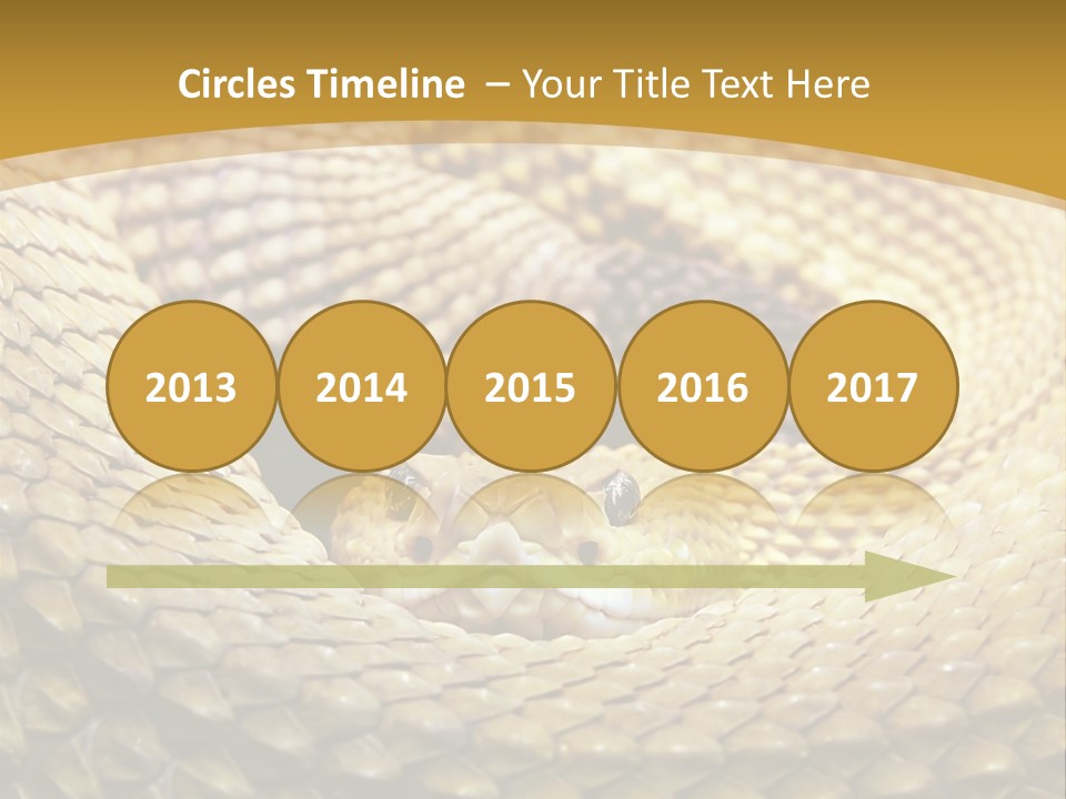 Garden Jungle Animal PowerPoint Template