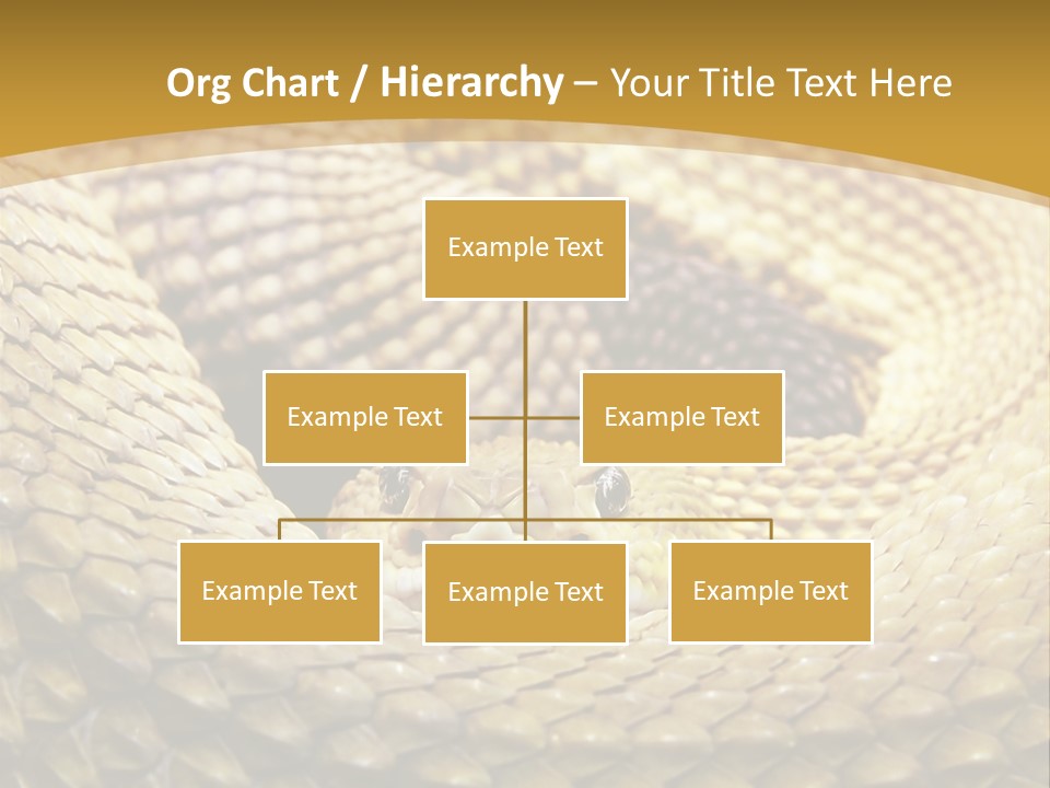 Garden Jungle Animal PowerPoint Template