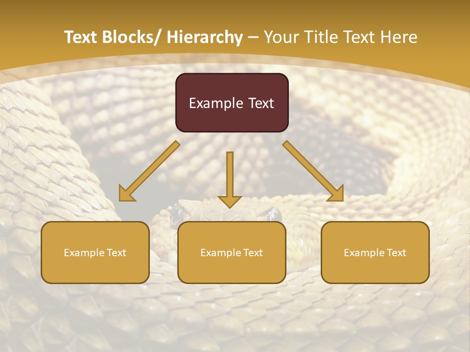 Garden Jungle Animal PowerPoint Template