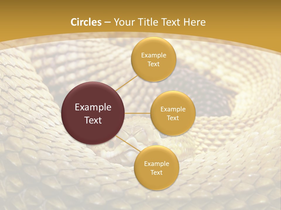 Garden Jungle Animal PowerPoint Template