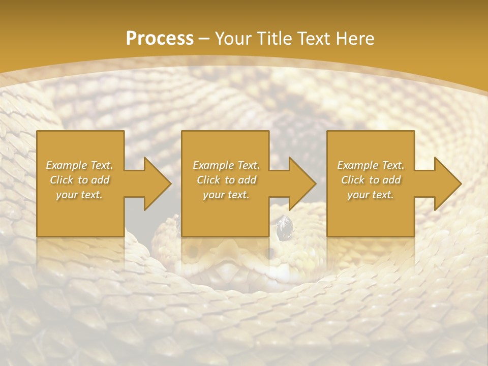 Garden Jungle Animal PowerPoint Template