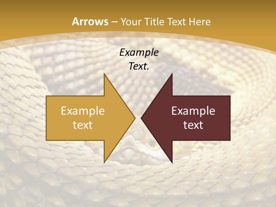 Garden Jungle Animal PowerPoint Template