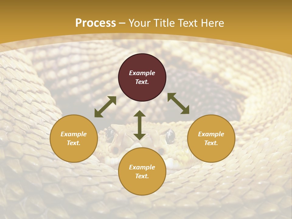 Garden Jungle Animal PowerPoint Template