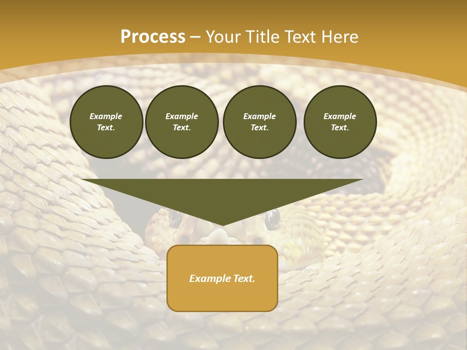 Garden Jungle Animal PowerPoint Template