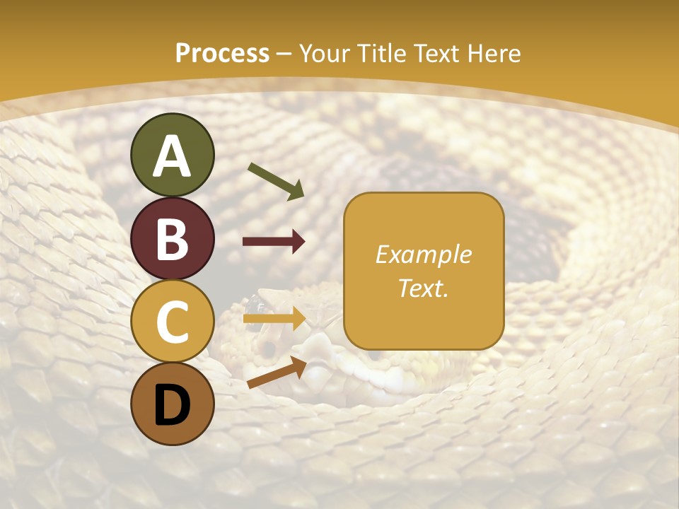 Garden Jungle Animal PowerPoint Template