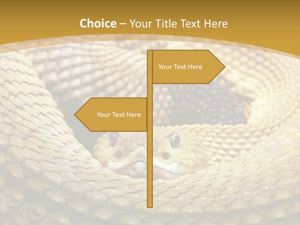 Garden Jungle Animal PowerPoint Template