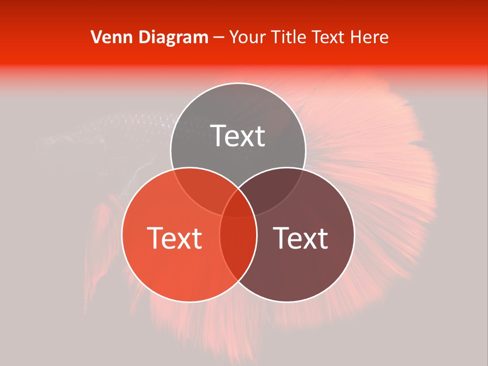 Consultant Graph Copy PowerPoint Template