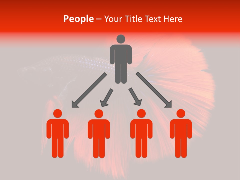 Consultant Graph Copy PowerPoint Template