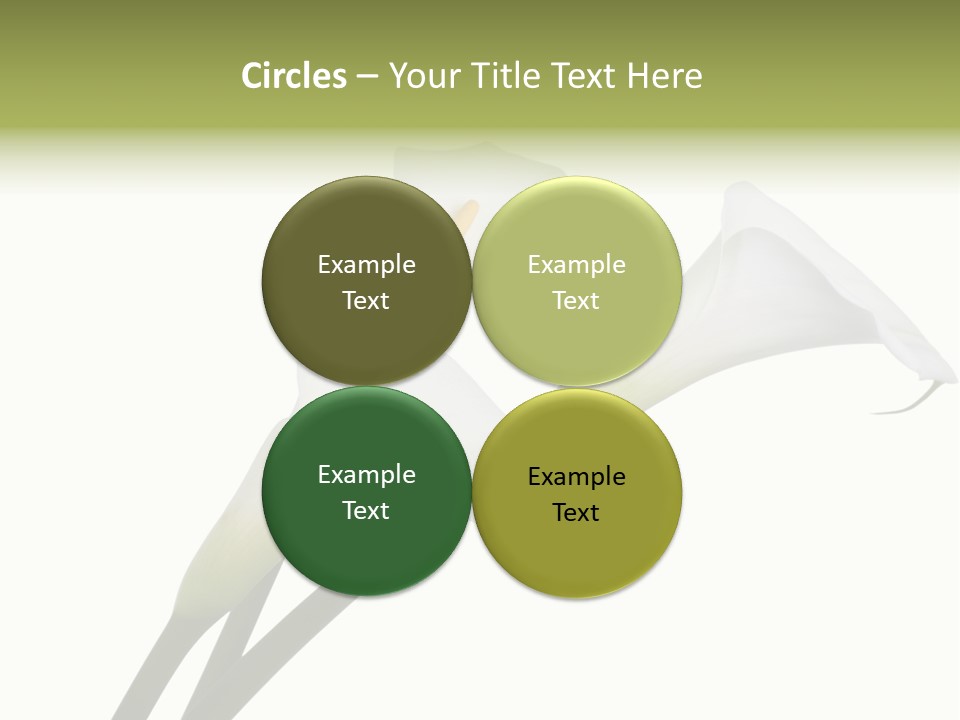 Pure Yellow Delicate PowerPoint Template