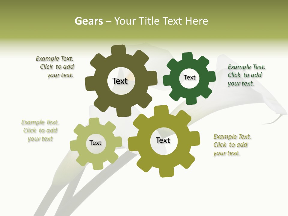 Pure Yellow Delicate PowerPoint Template