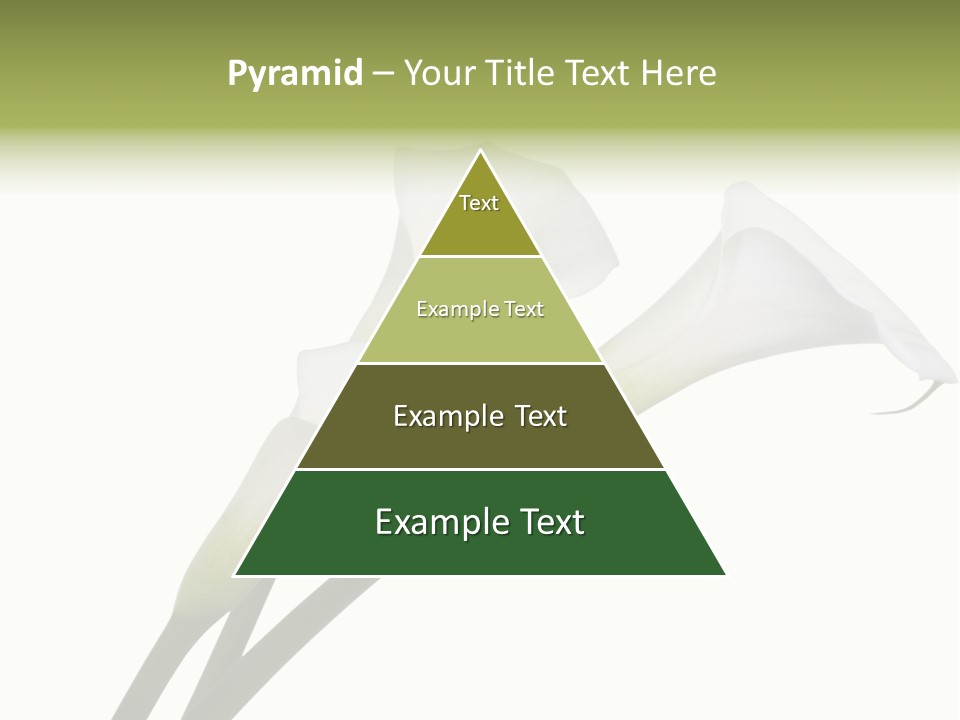 Pure Yellow Delicate PowerPoint Template