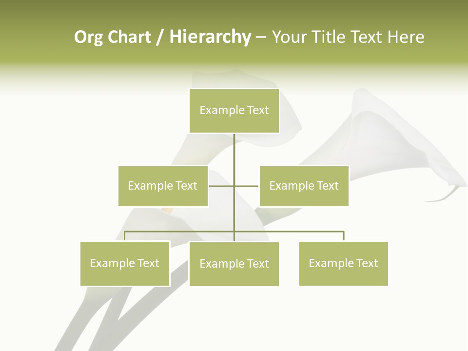 Pure Yellow Delicate PowerPoint Template
