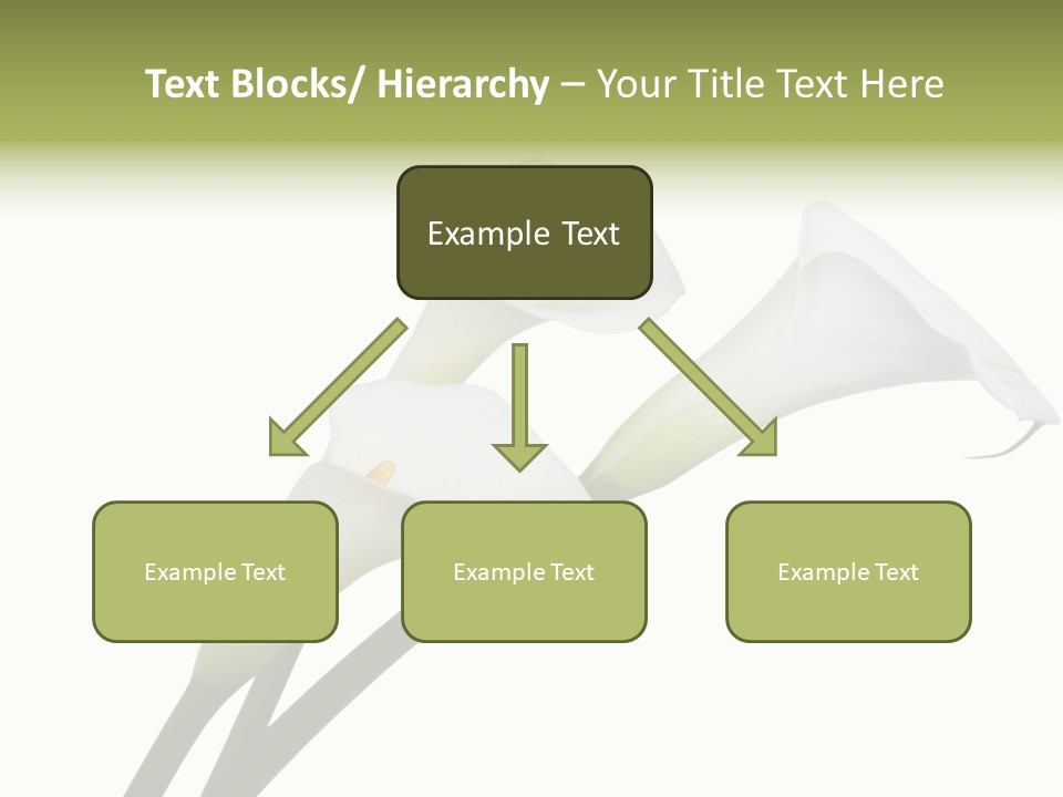 Pure Yellow Delicate PowerPoint Template