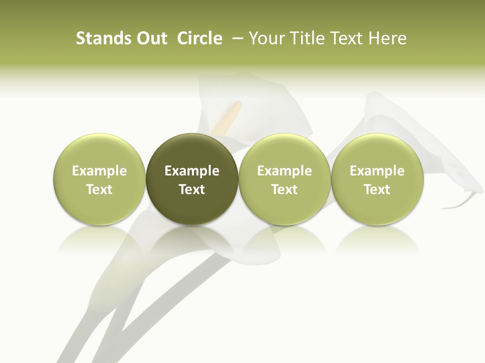 Pure Yellow Delicate PowerPoint Template