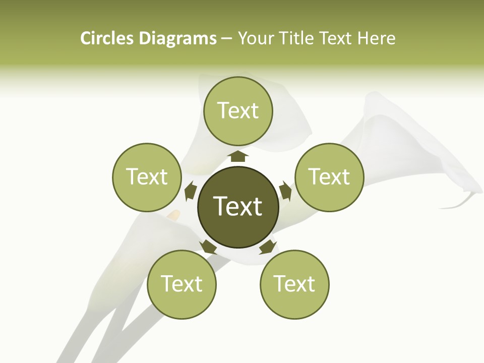 Pure Yellow Delicate PowerPoint Template