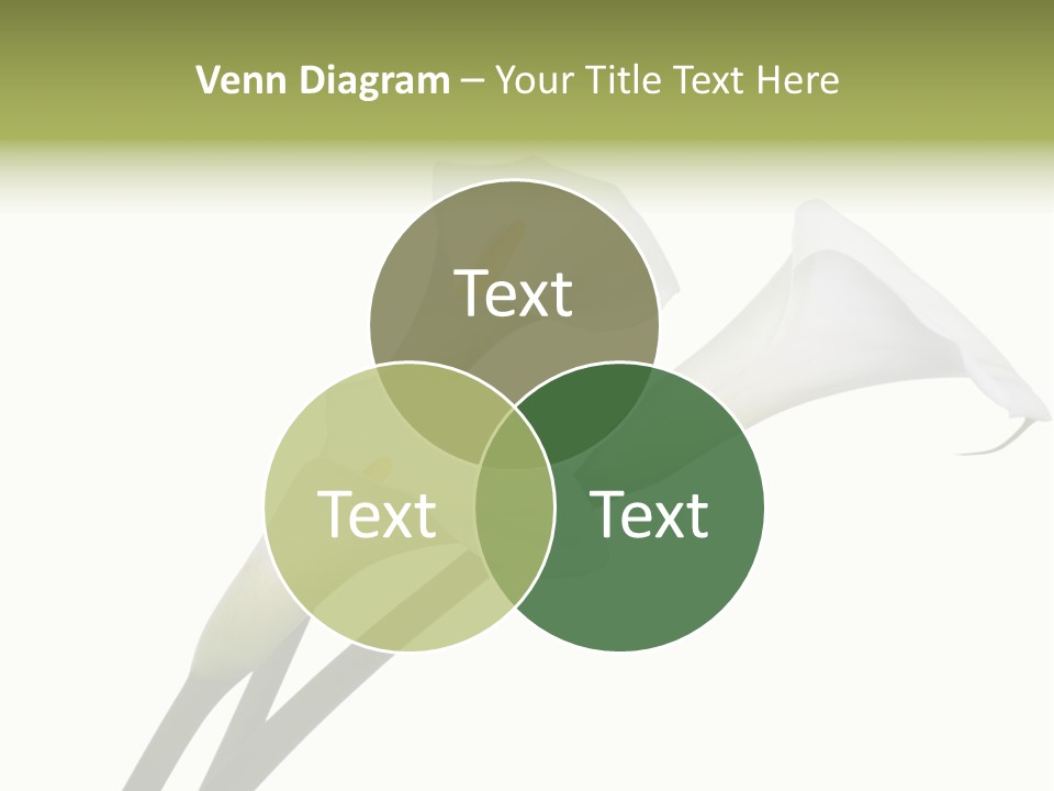 Pure Yellow Delicate PowerPoint Template