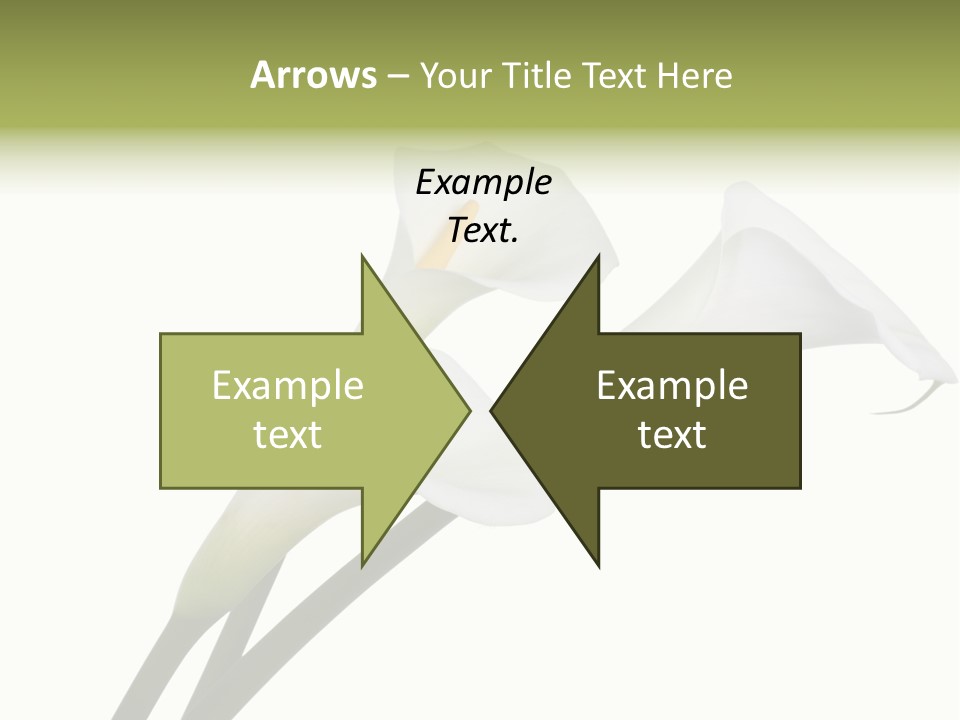 Pure Yellow Delicate PowerPoint Template